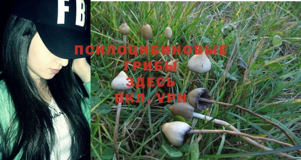 тгк Балабаново