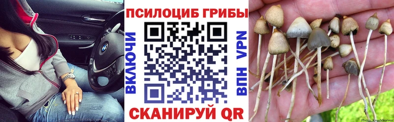 Псилоцибиновые грибы MAGIC MUSHROOMS  ссылка на мегу зеркало  Звенигово 